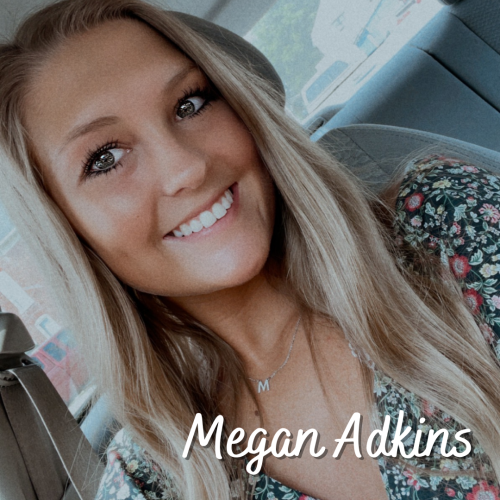 Frank L. and Frances L. Hilburt Scholarship, Pippa Flanary Memorial Scholarship