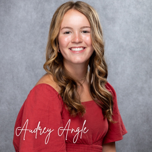 David and Barbara Malson Indiana University Scholarship