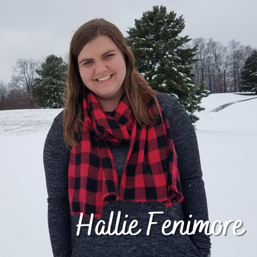 Joan L. McLaughlin Memorial Scholarship