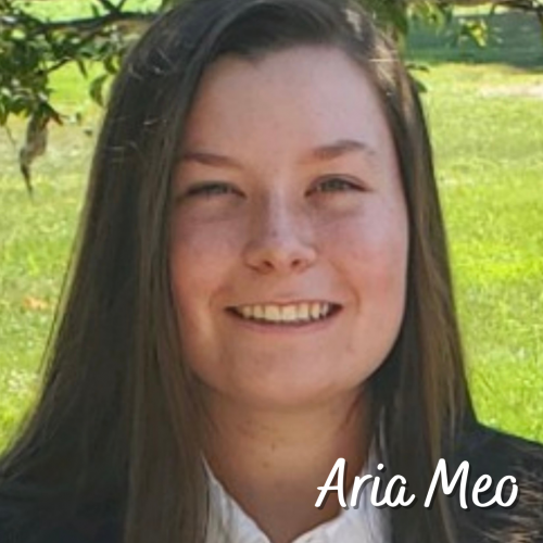 Frank L. and Frances L. Hilburt Scholarship