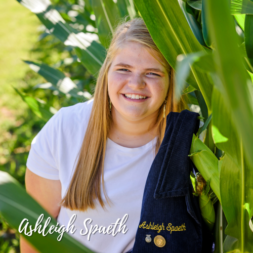 Ken Brashaber FFA Scholarship