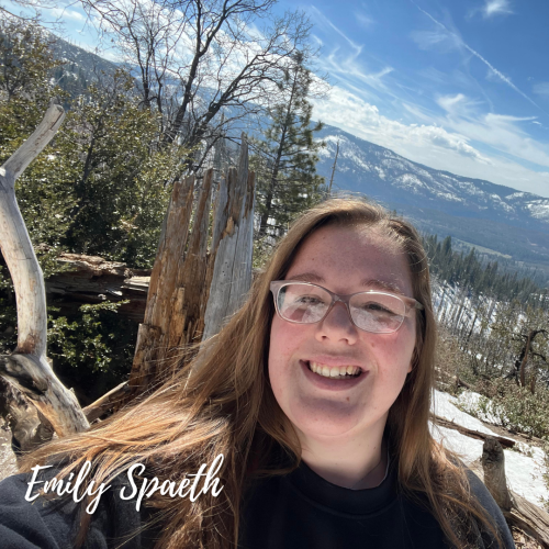 John Sam Anderson Scholarship, Madeline Gullion Knight Scholarship,  Phillip E. Mitchell Scholarship