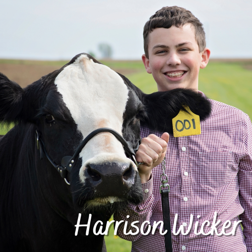 Holli Spaeth Memorial Scholarship, Kyle Henderson Memorial Scholarship, Rush County 4-H Junior Leader Scholarship